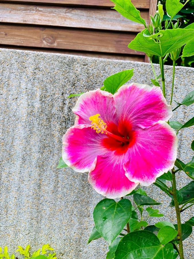 Jifun Flower Meanings Ji'an Extérieur photo