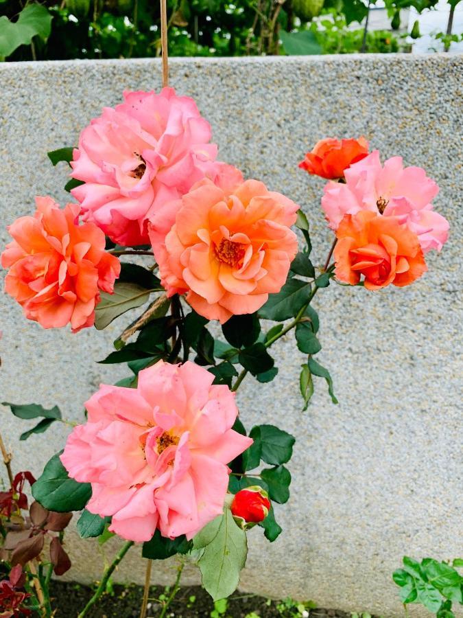 Jifun Flower Meanings Ji'an Extérieur photo